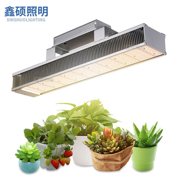 640W/320W長方形植物燈